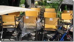 IMG_6972 IMG_6972